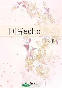 《回音echo》