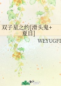 双子星之约[滑头鬼+夏目]