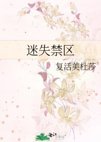 《迷失禁区》