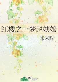 《红楼之一梦赵姨娘》