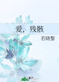 《爱,残骸》