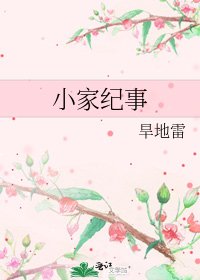《小家纪事》