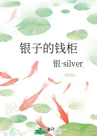 《银子的钱柜》