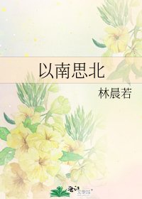 《以南思北》