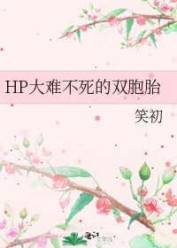 《HP大难不死的双胞胎》