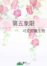 第五象限