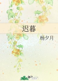 《迟暮》