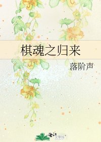 棋魂之归来