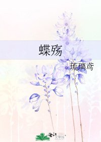 《蝶殇》