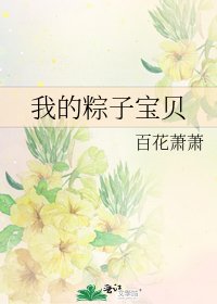 我的粽子宝贝