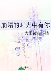 《崩塌的时光中有你》
