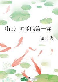 《(hp)坑爹的第一穿》