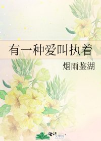 《有一种爱叫执着》
