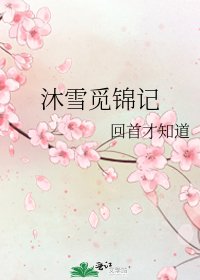 《沐雪觅锦记》