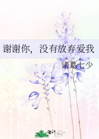 谢谢你，没有放弃爱我