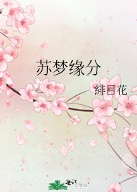 《苏梦缘分》
