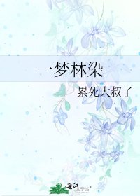 《一梦林染》