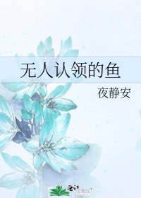 无人认领的鱼