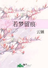 《若梦留痕》