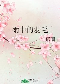《雨中的羽毛》