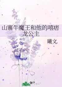 《山寨牛魔王和他的嘻痞龙公主》