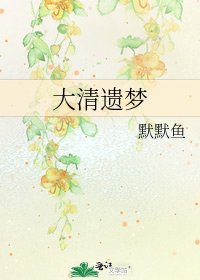 《大清遗梦》