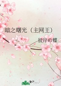 《暗之曙光(主网王)》