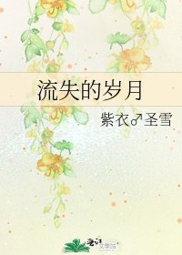 《流失的岁月》