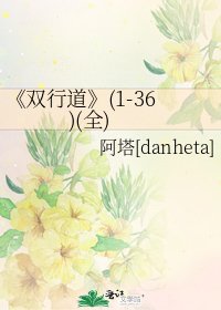 双行道