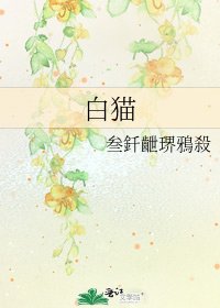 《白猫》