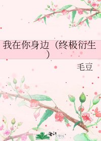 我在你身边（终极衍生）