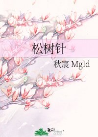 《松树针》