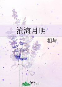 《沧海月明》