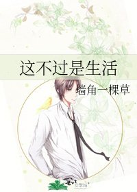 这不过是生活