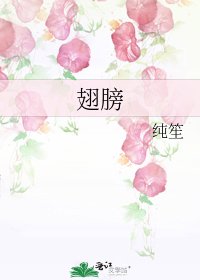 《翅膀》