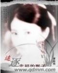 《追逐幸福的影子》