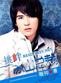 《挑衅冰山总裁》