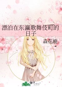 《漂泊在东瀛歌舞伎町的日子》