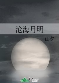 《沧海月明》