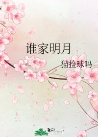 《谁家明月》