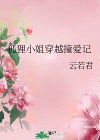 《狐狸小姐穿越撞爱记》