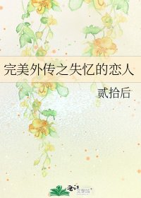 完美外传之失忆的恋人