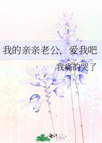 我的亲亲老公，爱我吧