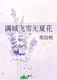《满城飞雪无夏花》
