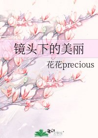 《镜头下的美丽》