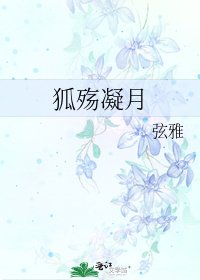 《狐殇凝月》
