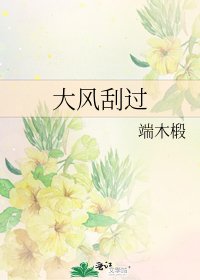 《大风刮过》