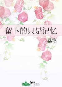 《留下的只是记忆》