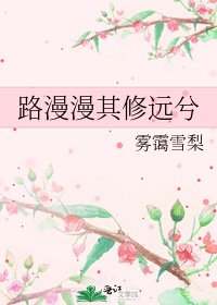 《路漫漫其修远兮》