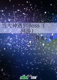 《当大神遇到Boss(网游)》